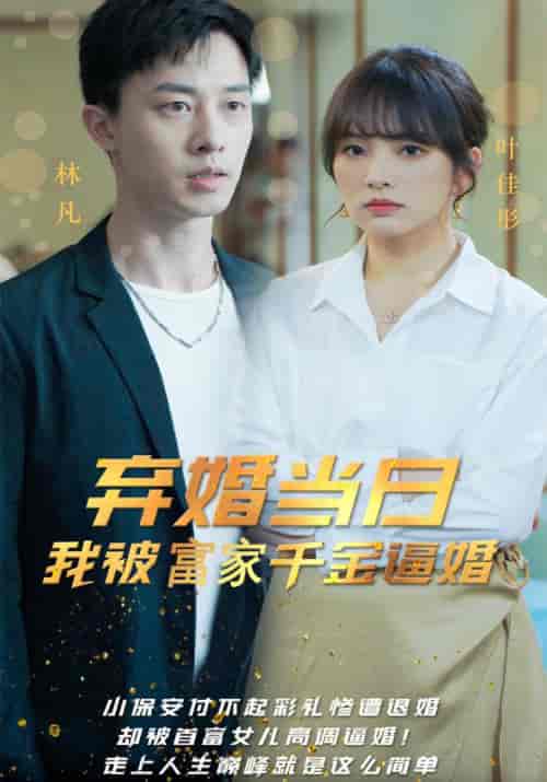 弃婚当日，我被富家千金逼婚（98集全）林凡＆叶佳彤 - 海之城短剧