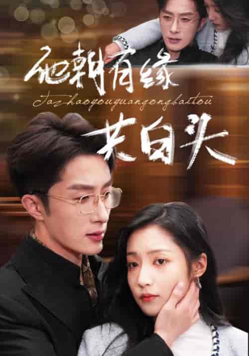 他朝有缘共白头（63集全）宫沉＆林知意 - 海之城短剧