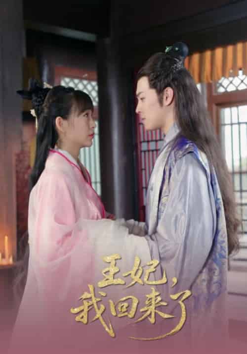 王妃,我回来了 王妃,我回来了