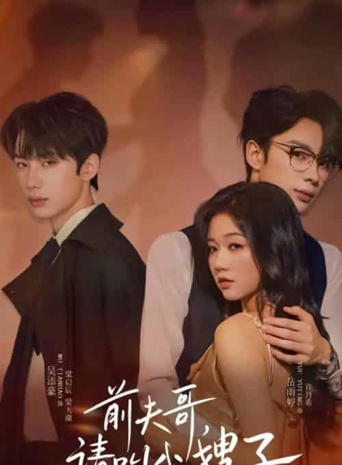 前夫哥请叫我嫂子（40集全）岳雨婷＆吴添豪-海之城短剧项目