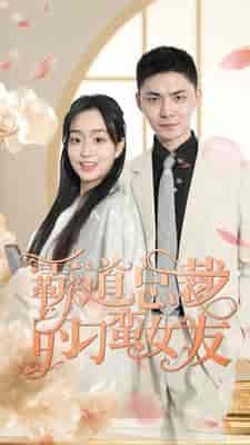 霸道总裁的刁蛮女友（73集） - 海之城短剧