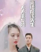 离婚后沈先生天天求复婚（100集）-海之城短剧项目
