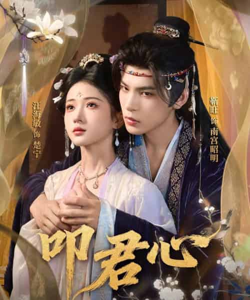 叩君心（64集全）靳旺＆汪海敏-海之城短剧项目