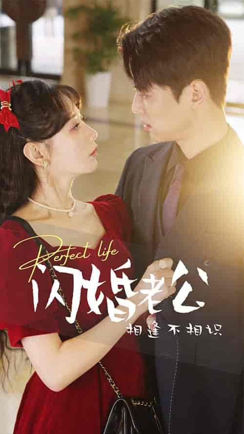闪婚老公相逢不相识（90集） - 海之城短剧