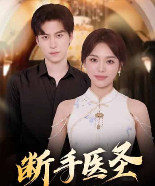 断手医圣（55集全）杜铁柱＆韩悦-海之城短剧项目