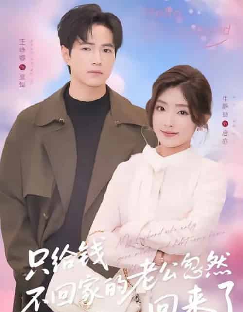 只给钱不回家的老公忽然回来了（60集全）王峥睿＆牛静捷-海之城短剧项目