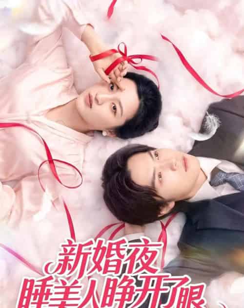新婚夜睡美人睁开了眼（50集全）刘涵＆李玉豪＆廖文根-海之城短剧项目