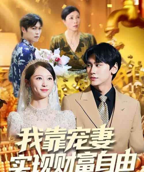 我靠宠妻实现财富自由（80集全）段少卿＆李汶朔-海之城短剧项目