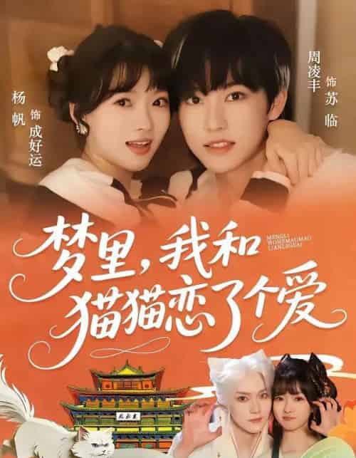 梦里，我和猫猫恋了个爱（72集全）周凌丰＆杨帆-海之城短剧项目