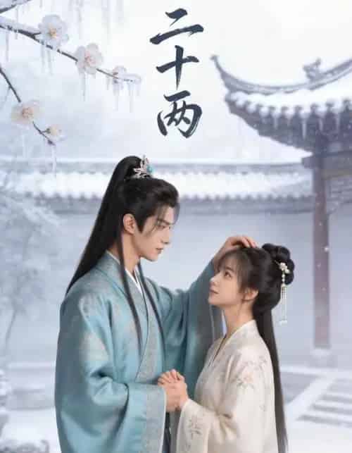 二十两（60集全）AI-海之城短剧项目