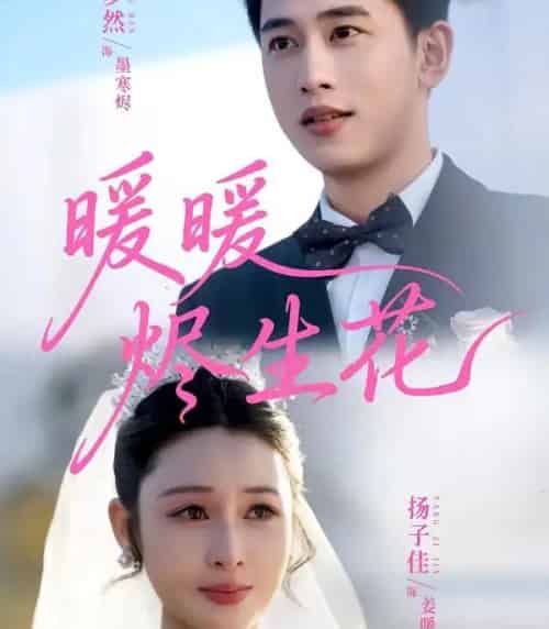 暖暖烬生花（65集全）李梦然＆扬子佳-海之城短剧项目