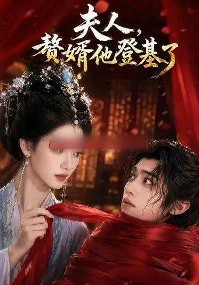 夫人，赘婿他登基了（20集全）AI短剧-海之城短剧项目
