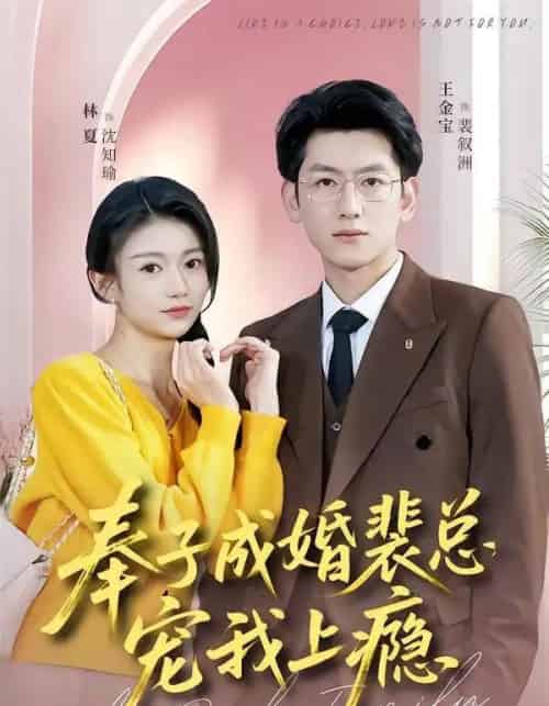 奉子成婚裴总宠我上瘾（59集全）王金宝＆林夏-海之城短剧项目