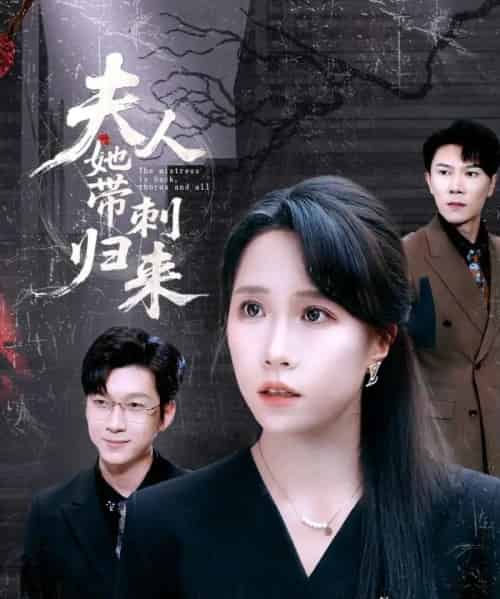 夫人她带刺归来（70集）陈伟华＆惠一秋 - 海之城短剧