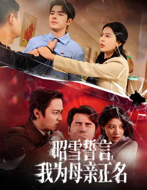 昭雪誓言我为母亲正名（60集）丁海霞 - 海之城短剧