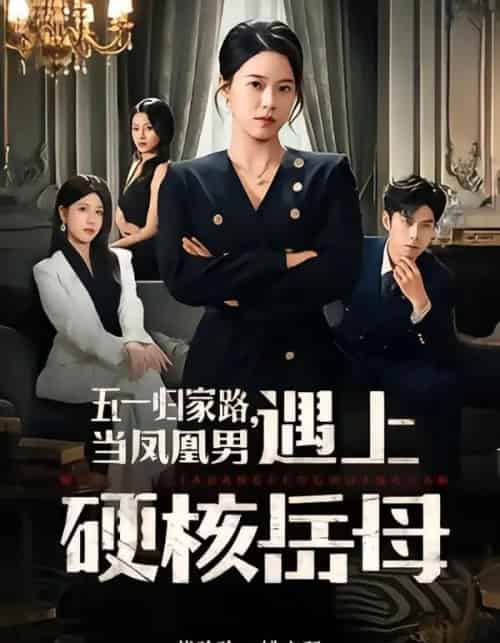 五一归家路，当凤凰男遇上硬核岳母（60集全）代玲玲＆秦子墨-海之城短剧项目