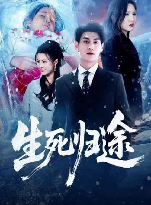 生死归途（50集全）王晶晶＆王国豪杰-海之城短剧项目