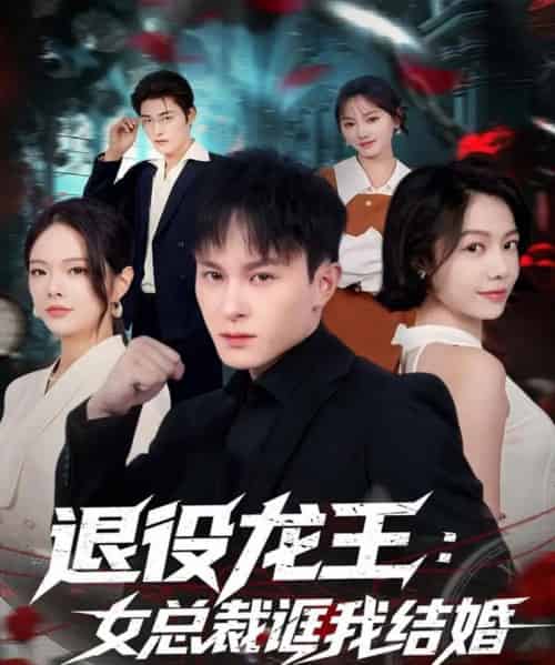 退役龙王：女总裁诓我结婚（80集全）聂杨＆将诗琪-海之城短剧项目
