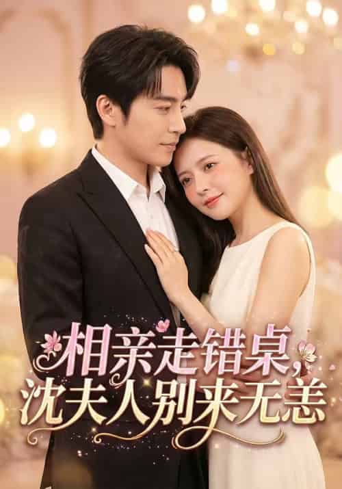 相亲走错桌，沈夫人别来无恙（70集全）常高明＆陈露茜-海之城短剧项目