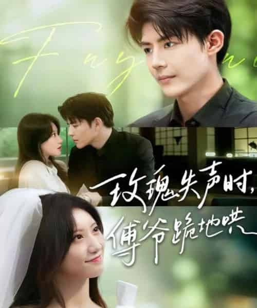 玫瑰失声时傅爷跪地哄（70集）詹妮＆于济玮-海之城短剧项目