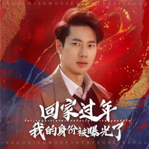 回家过年我的身份被曝光了（60集）张子安 - 海之城短剧