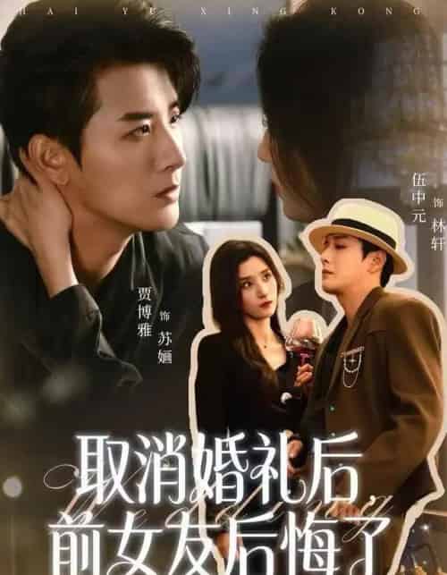 取消婚礼后，前女友后悔了（79集全）伍中元＆贾博雅-海之城短剧项目