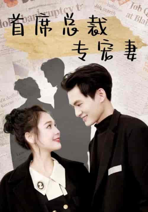 首席总裁专宠妻（86集全）夜南天＆陆倾城 - 海之城短剧
