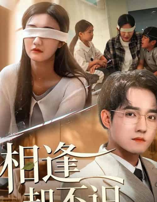 相逢却不识（77集全）刘静阳＆程汁-海之城短剧项目