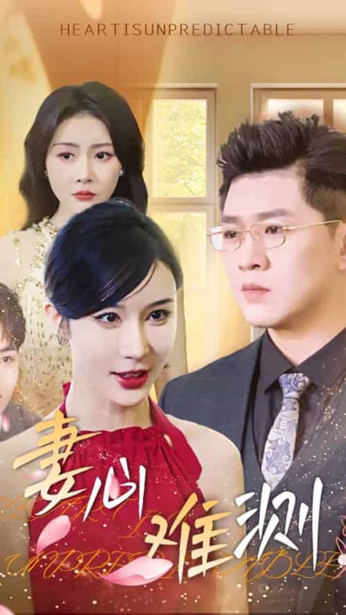 妻心难测（33集全）林彤 - 海之城短剧