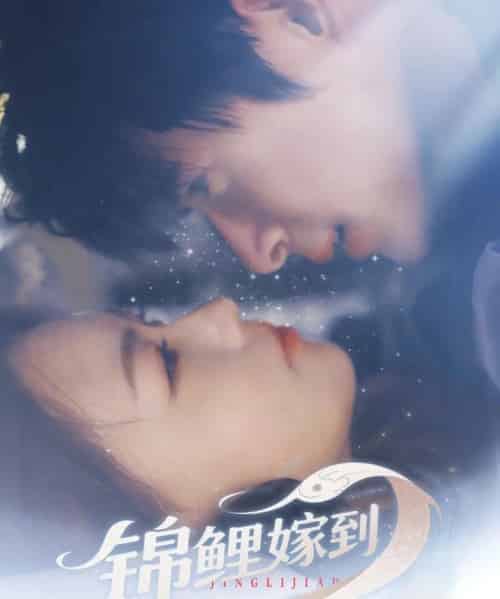 锦鲤嫁到（67集）贾舒宁-海之城短剧项目