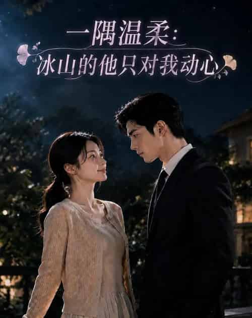 一隅温柔：冰山的他只对我动心（63集全）AI-海之城短剧项目