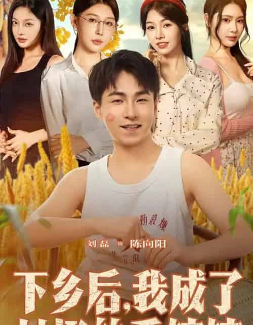 下乡后我成了村里的香饽饽（86集全）刘磊＆隋安蓉-海之城短剧项目