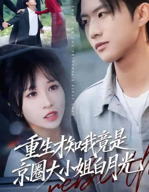 重生才知我竟是京圈大小姐白月光（80集全）卞菁-海之城短剧项目