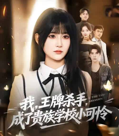我，王牌杀手，成了贵族学校小可怜（80集全）吴宇航＆杨珊子-海之城短剧项目