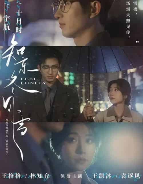 知京冬风雪（68集全）王凯沐＆王格格-海之城短剧项目