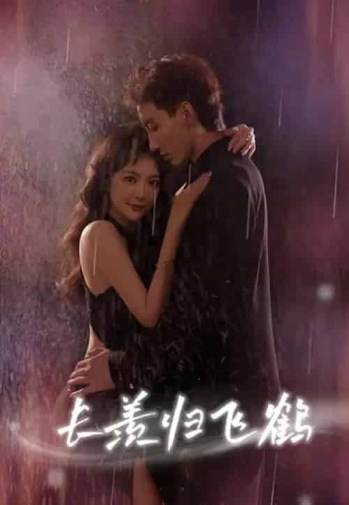 长羡归飞鹤 （70集） 霍文琦 长篇-海之城短剧项目