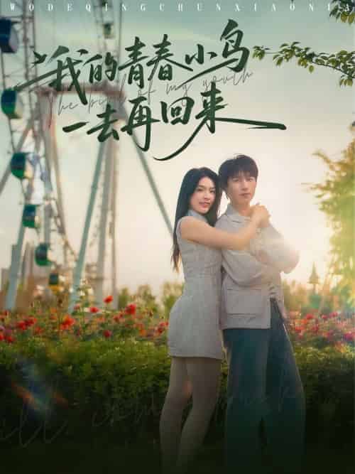 我的青春小鸟一去再回来 我的青春小鸟一去再回来