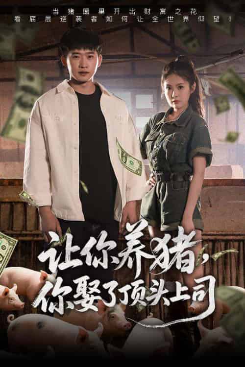 让你养猪,你娶了顶头上司 让你养猪,你娶了顶头上司