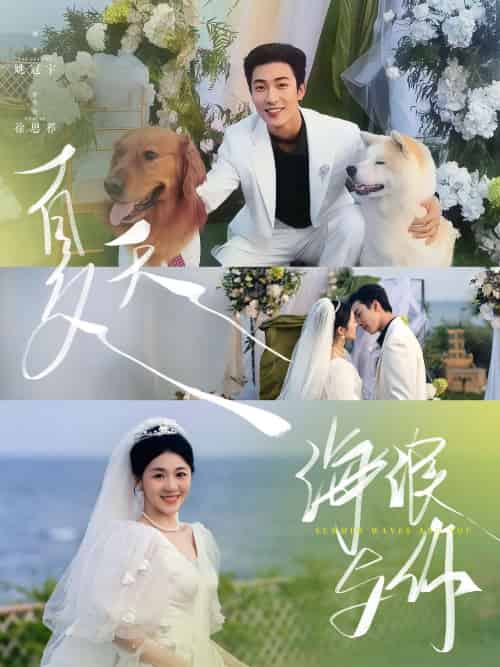 夏天，海浪与你（76集）姚冠宇＆徐思祁 - 海之城短剧