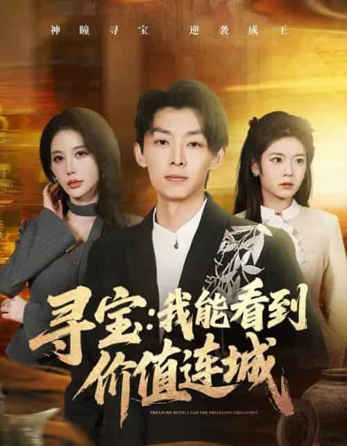 寻宝：我能看到价值连城（80集全）凌月＆孙伟豪-海之城短剧项目