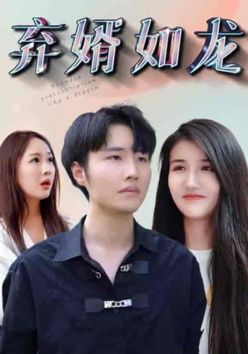 弃婿如龙（91集全）林枫＆程清雅 - 海之城短剧