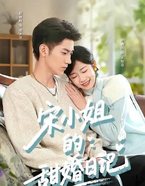 宋小姐的甜婚日记（60集全）叶婧依＆赵德峰-海之城短剧项目