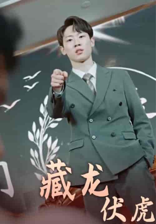 藏龙伏虎（93集全）叶昊＆沈云溪 - 海之城短剧