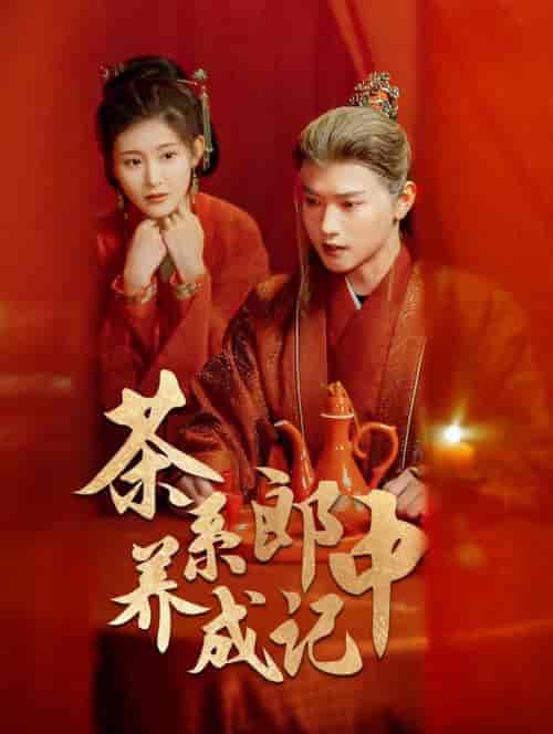 茶系郎中养成记（47集全）王宇威＆喻嘉琳 - 海之城短剧