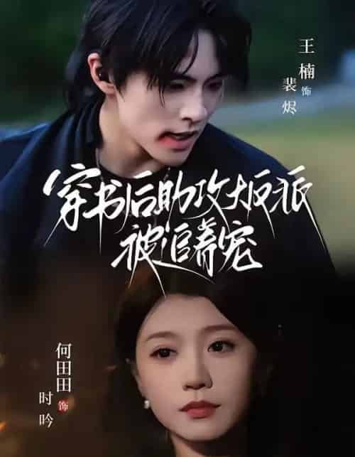 穿书后助攻大反派被追着宠（70集全）王楠＆何田田-海之城短剧项目