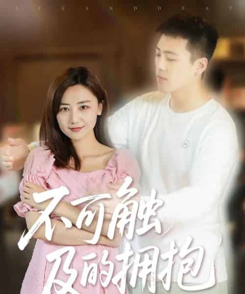 不可触及的拥抱 （40集） 闫聪-海之城短剧项目