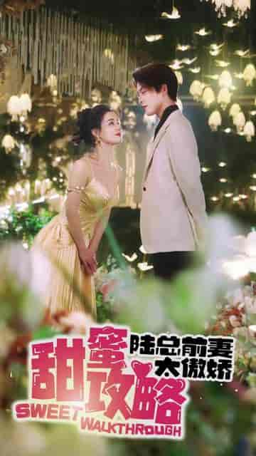 甜蜜攻略:陆总前妻太傲娇 甜蜜攻略:陆总前妻太傲娇