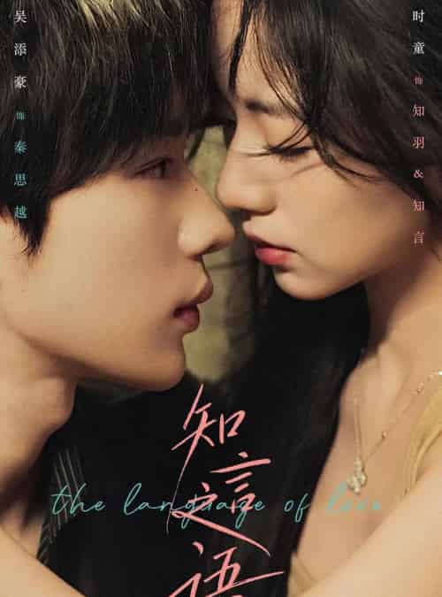 知言之语（59集全）吴添豪＆时童-海之城短剧项目