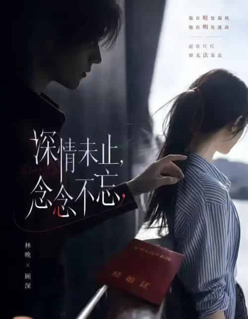 深情未止念念不忘（83集全）-海之城短剧项目