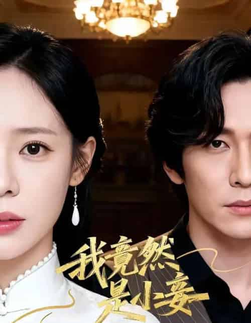 我竟然是小妾（47集全）李家豪＆朱彤-海之城短剧项目